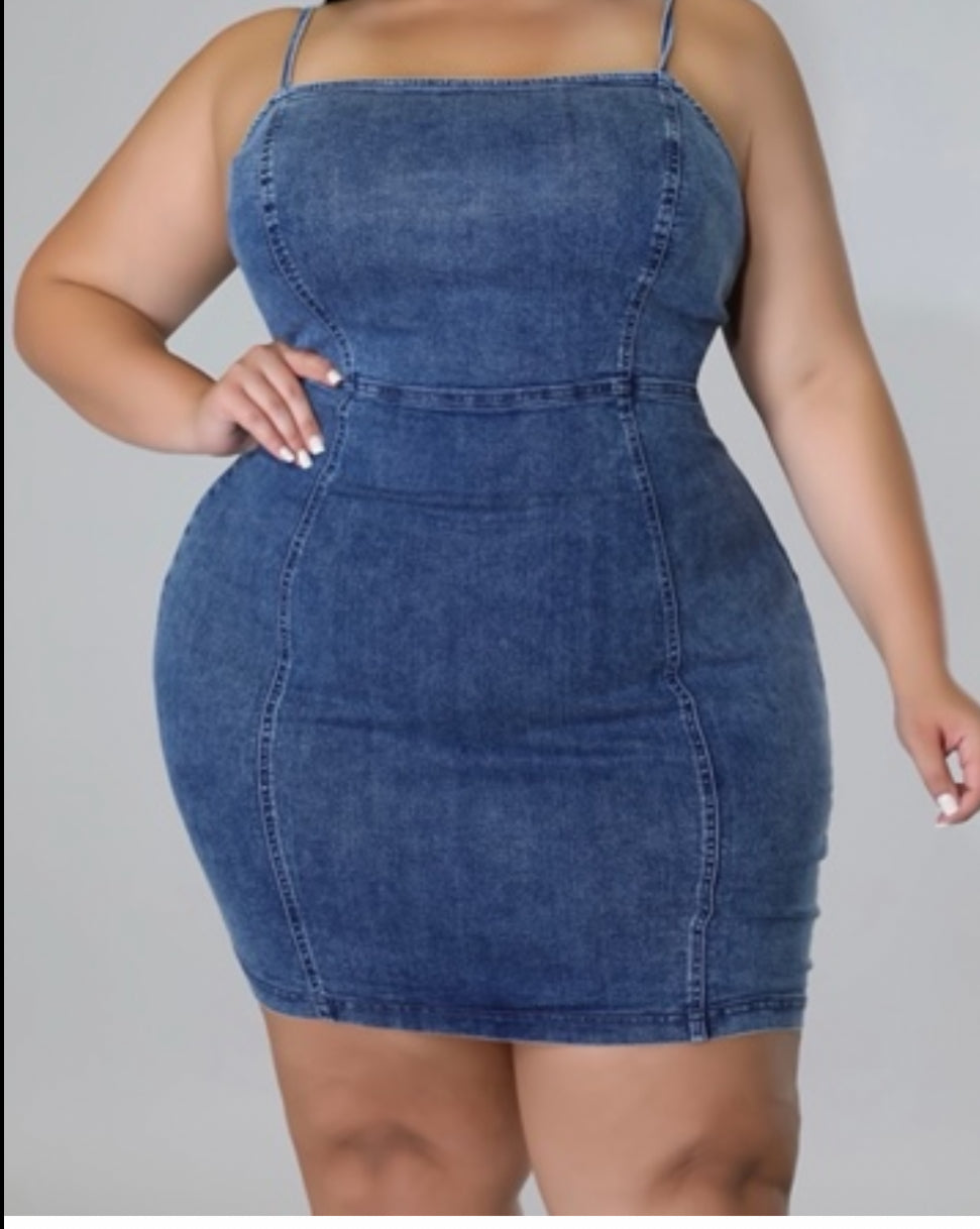 Mini Denim Dress