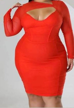 Tangy Bodycon Dress